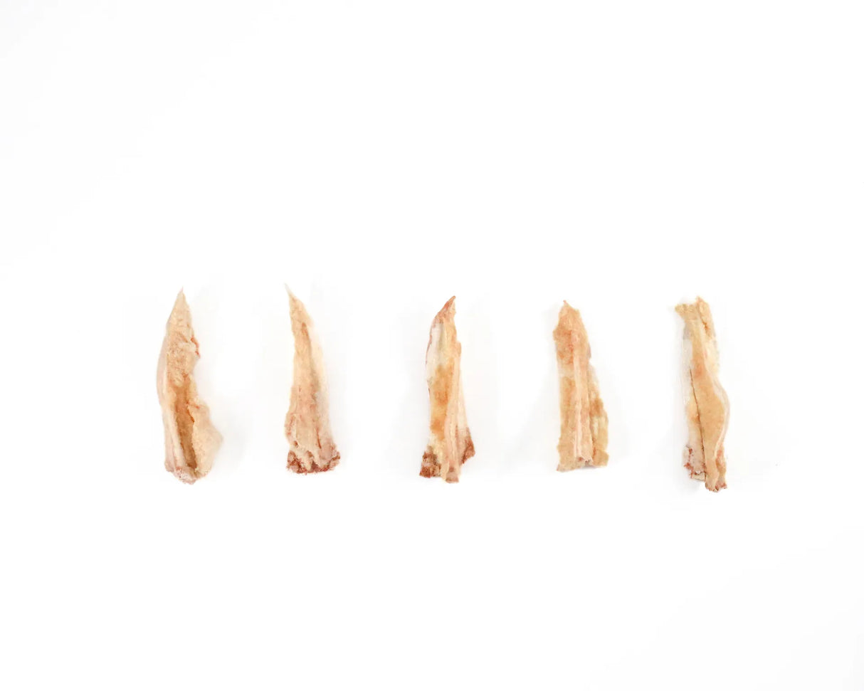 Chicken Cartilage Exercise