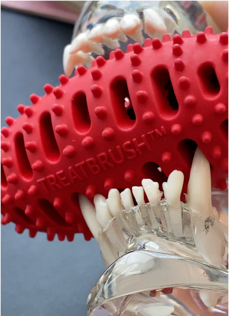 ChewMate TreatBrush 橡膠刷毛與潔牙槽近照