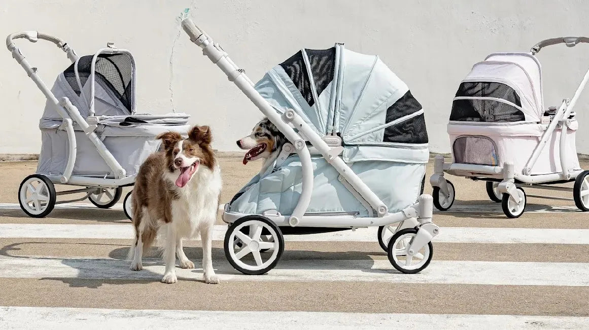 『POMPOLAA PET』韓國寵物推車🇰🇷進口低重心秒收寵物推車