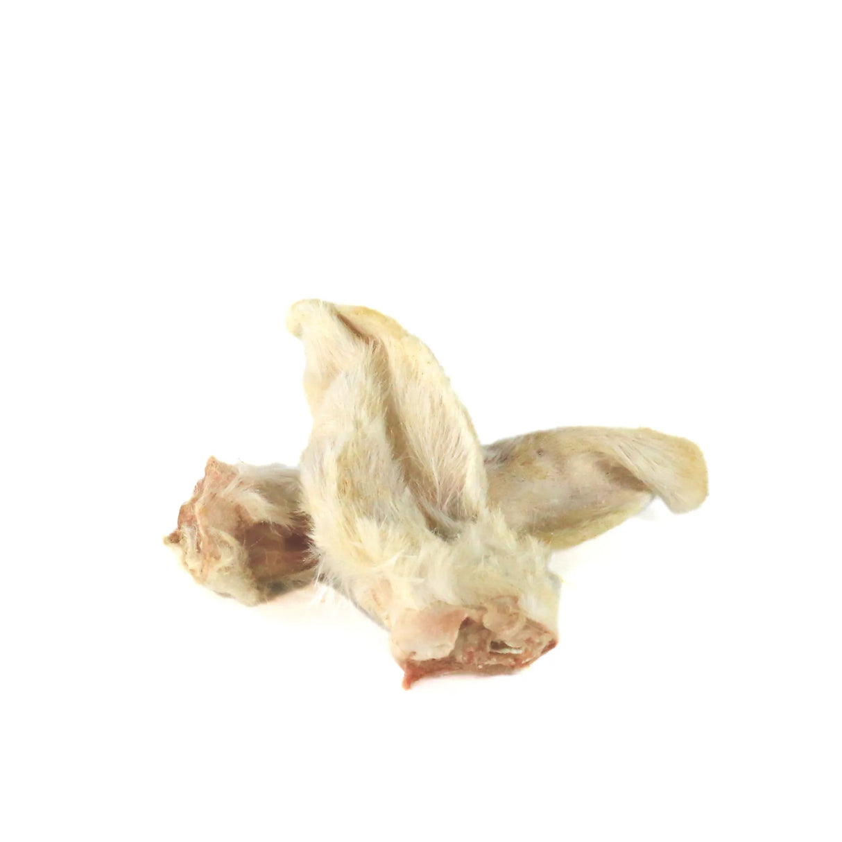 艾拉夫U兔