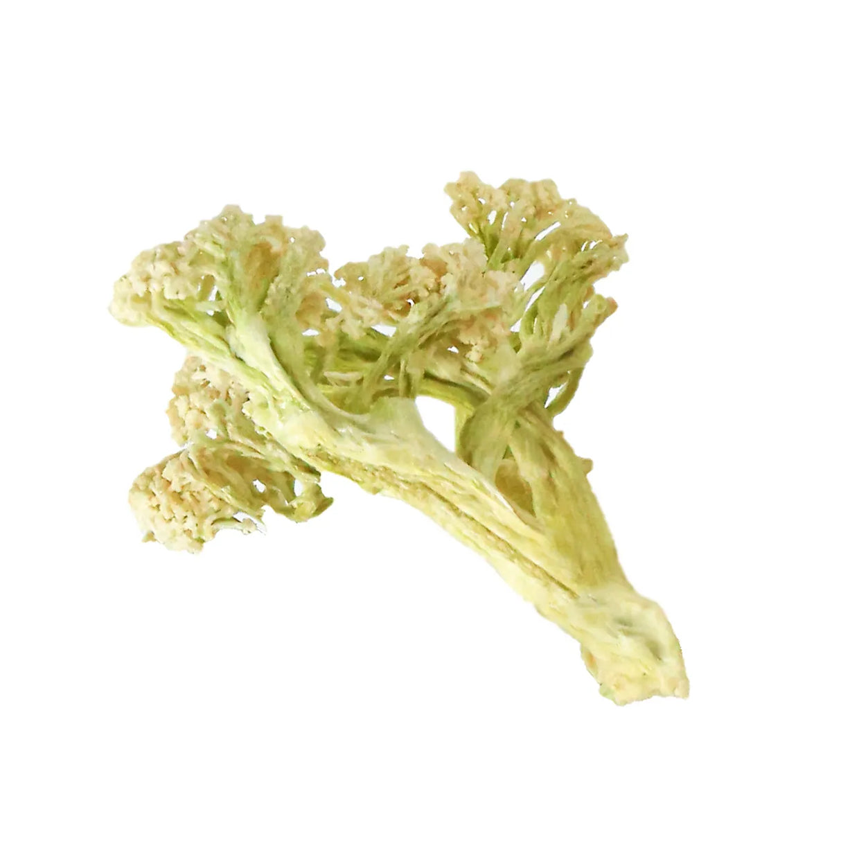 白花椰菜