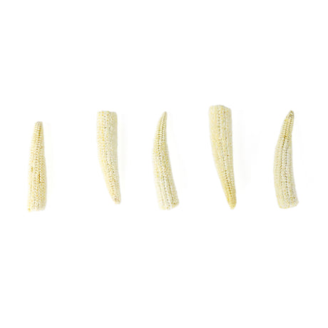 玉米筍