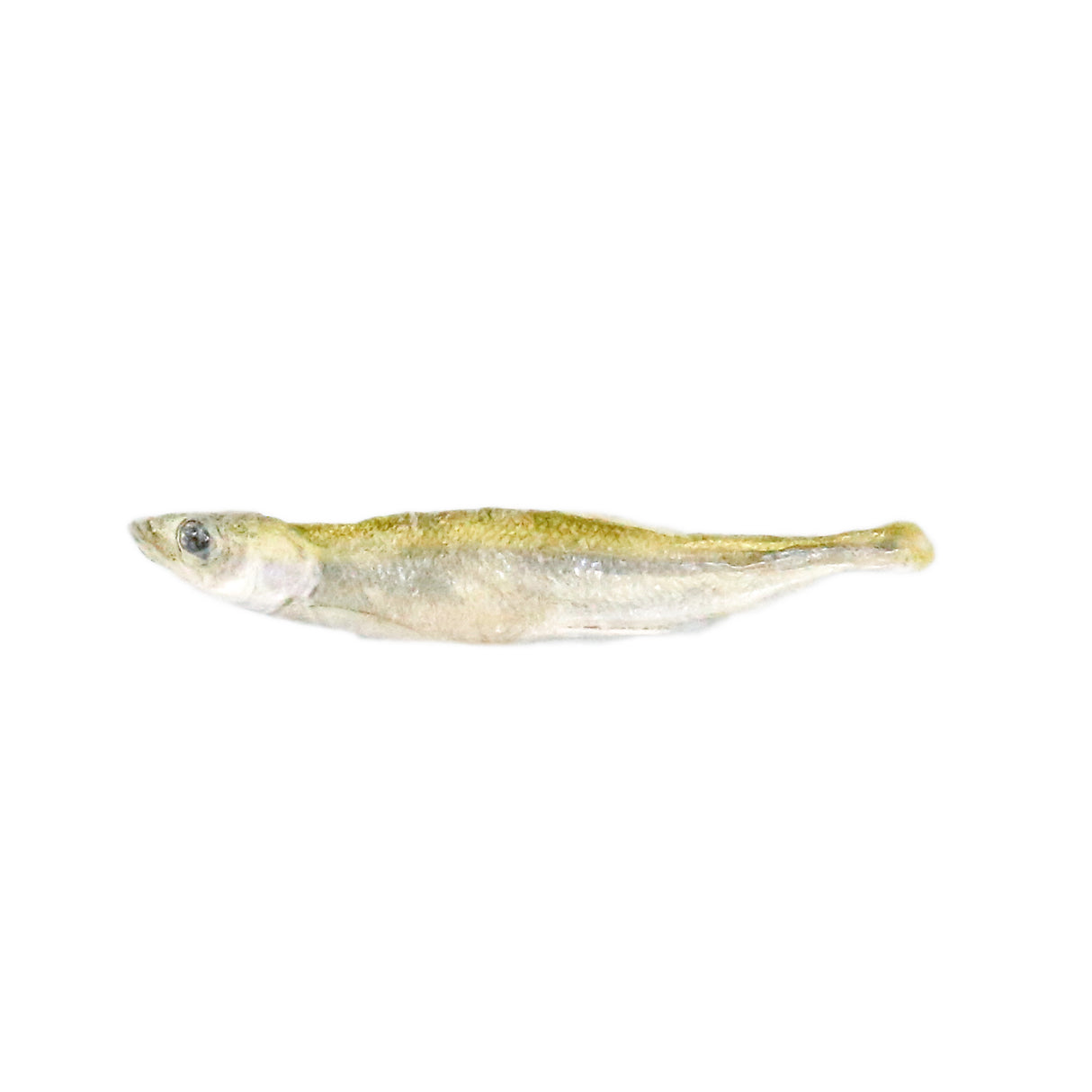 雪魚香絲